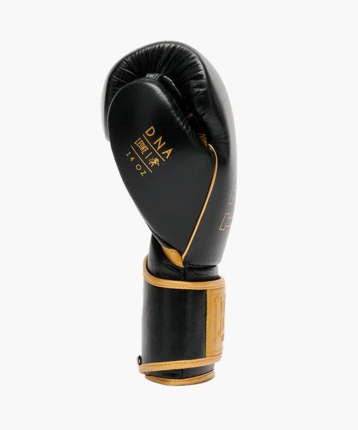 Gants de boxe Leone DNA Premium – Noir