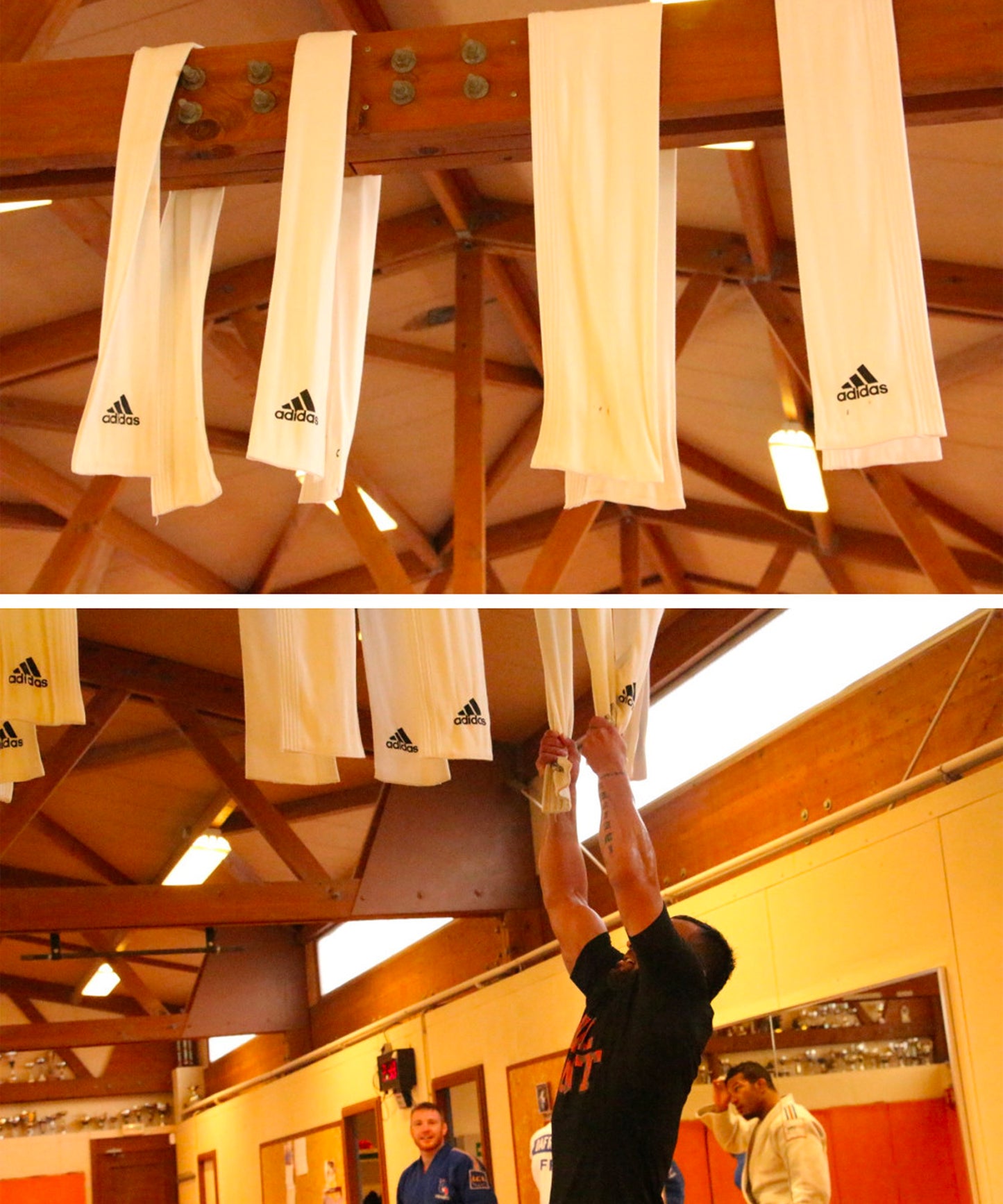 Adidas Judo Pull-Up Band – White