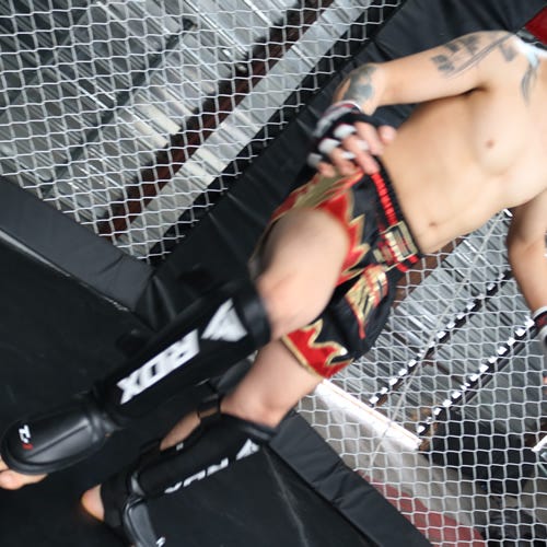 Protège-tibias boxe Thaï RDX King - MMA - Sports de combat